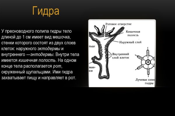 Кракена net