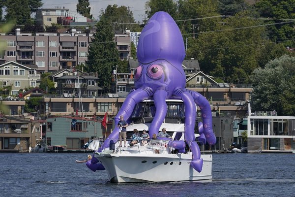 Kraken tor onion