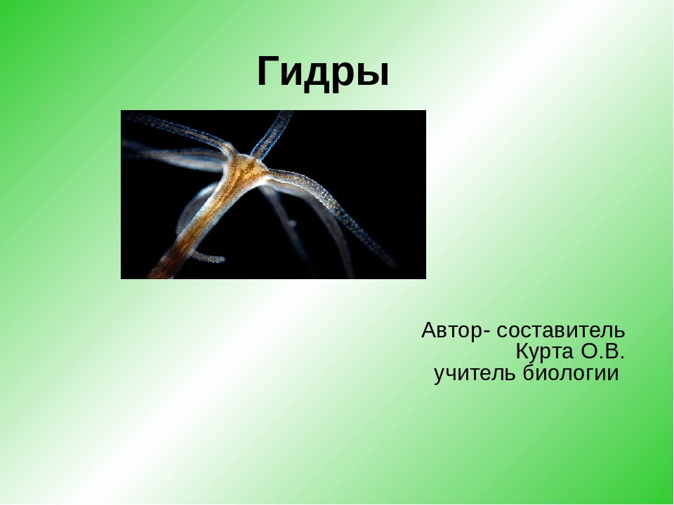 Кракен 17 af