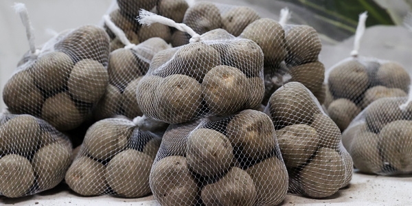 В России могут запретить продавать картофель, другие овощи и фрукты в сетках