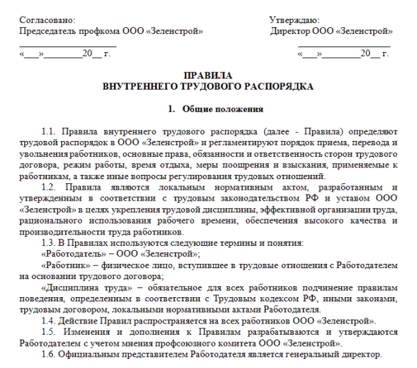 
Правила внутреннего трудового распорядка организации: образец 2024 года
